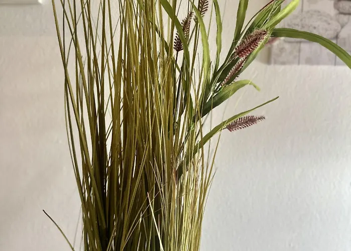 Terraza De La Paz Vista Al Campo De Golf סן מיגל דה אבונה