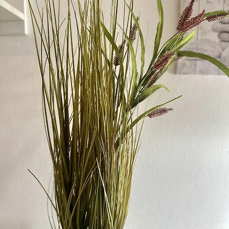 Terraza De La Paz Vista Al Campo De Golf San Miguel de Abona