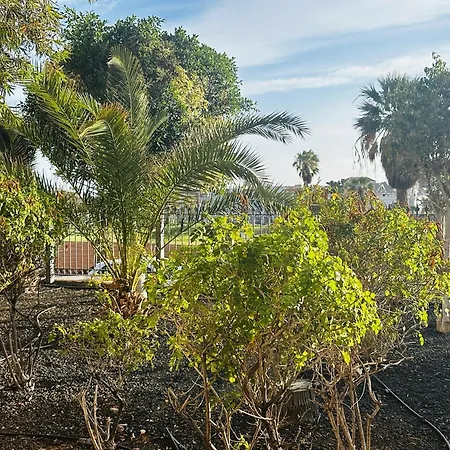 Διαμέρισμα Terraza De La Paz Vista Al Campo De Golf Σαν Μιγκέλ ντε Αμπόνα